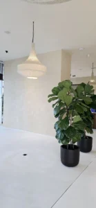 Project | Microcement Flooring In A Residential Property | 95